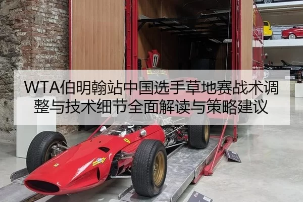 WTA伯明翰站中国选手草地赛战术调整与技术细节全面解读与策略建议